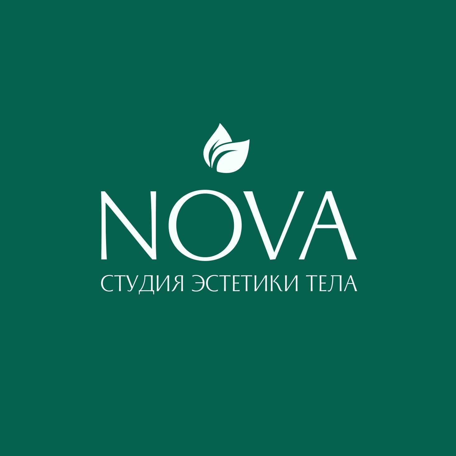 Студия нова краснодар. Студия эстетики. Студия эстетики лого. Студия красоты и эстетики тела. Студия estetica Переславль.
