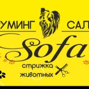 Груминг салон Sofa
