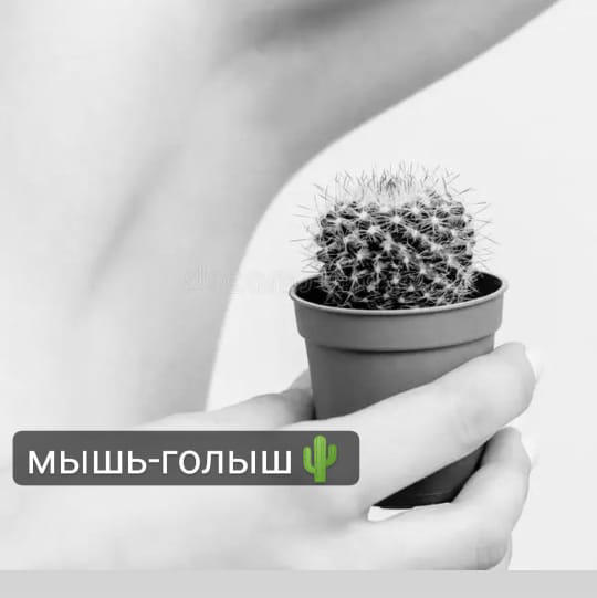 Подмышки (воск)