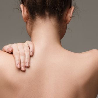 ШЕЯ ЗАДНЯЯ ЧАСТЬ