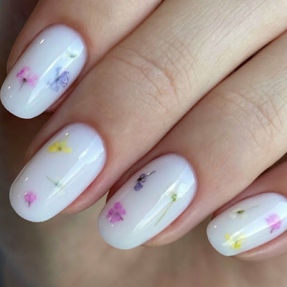 Сухоцветы (более 4х ногтей)