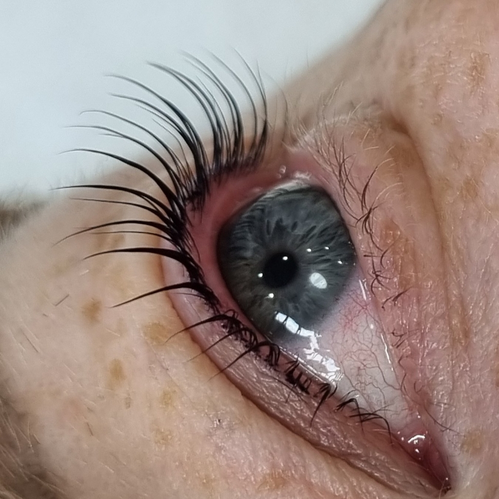 Окрашивание ресниц+сыворотка