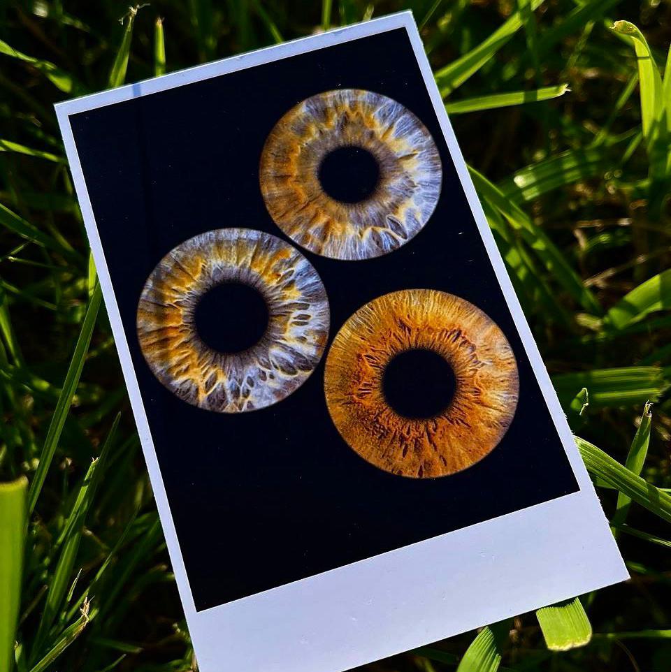 Коллективная фотография радужки