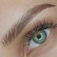 Hair Stroke Brows