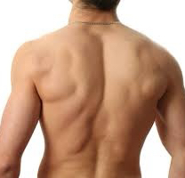 Full back men HR