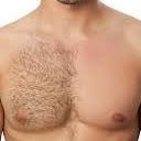 Chest (men) HR