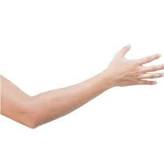 Full arm HR