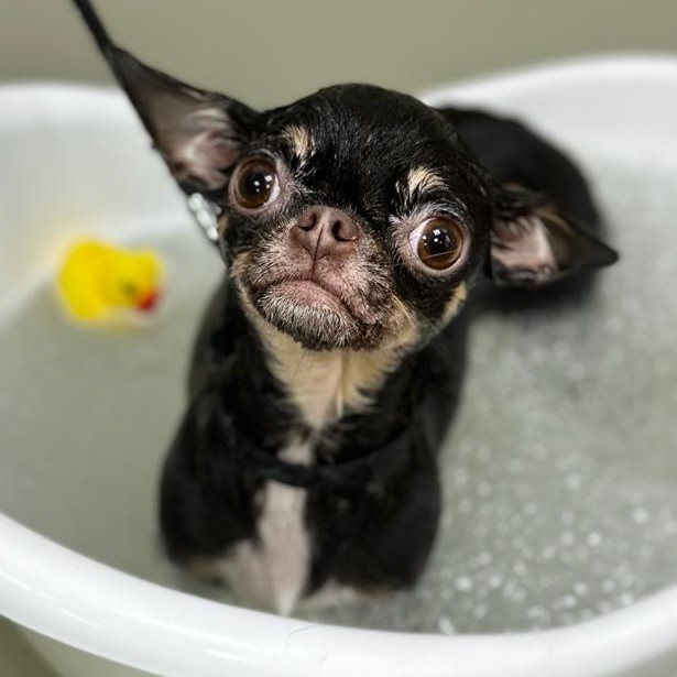 Озоновая ванна