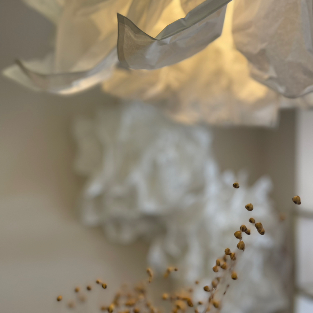 Женская стрижка