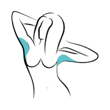 Подмышечные впадины