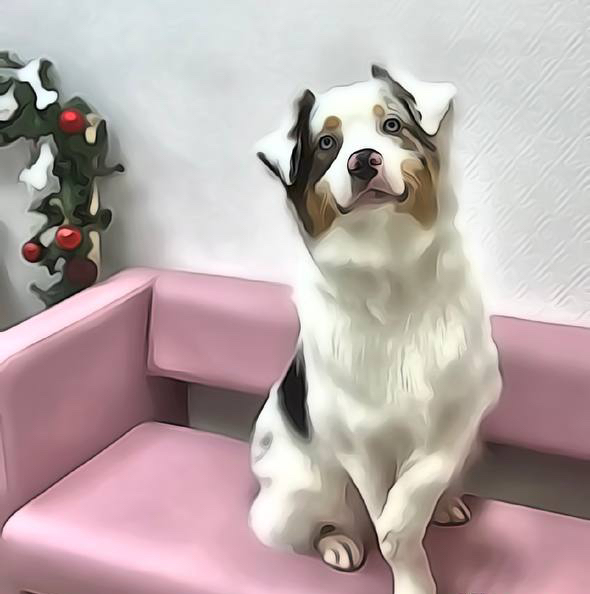 Экспресс-линька для собак весом более 10 кг (стоимость ₽/час)