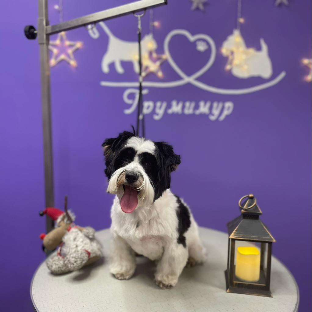 Комплекс бивер Йорк