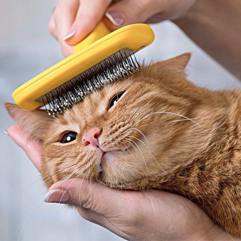 Вычесывание кошки