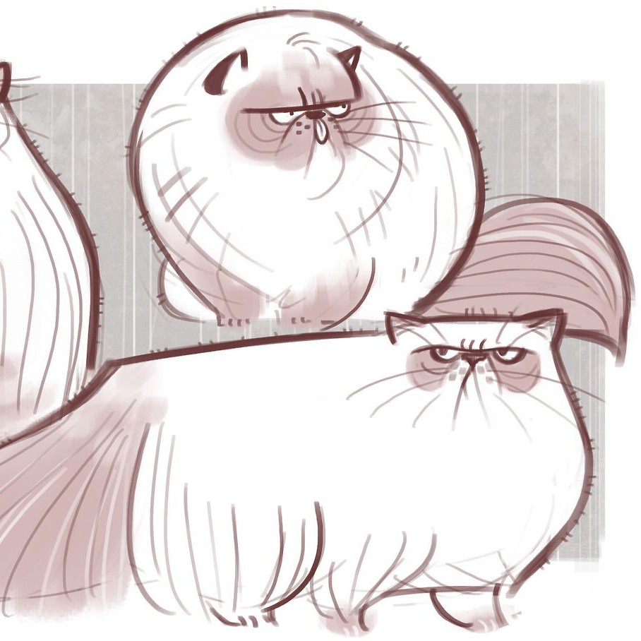 Комплекс для кошки