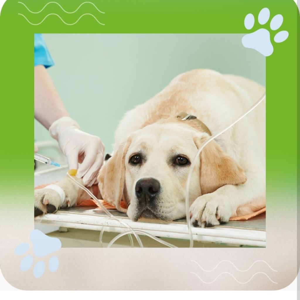 инъекция (внутримышечного, подкожно) расходный материал в стоимость не входит