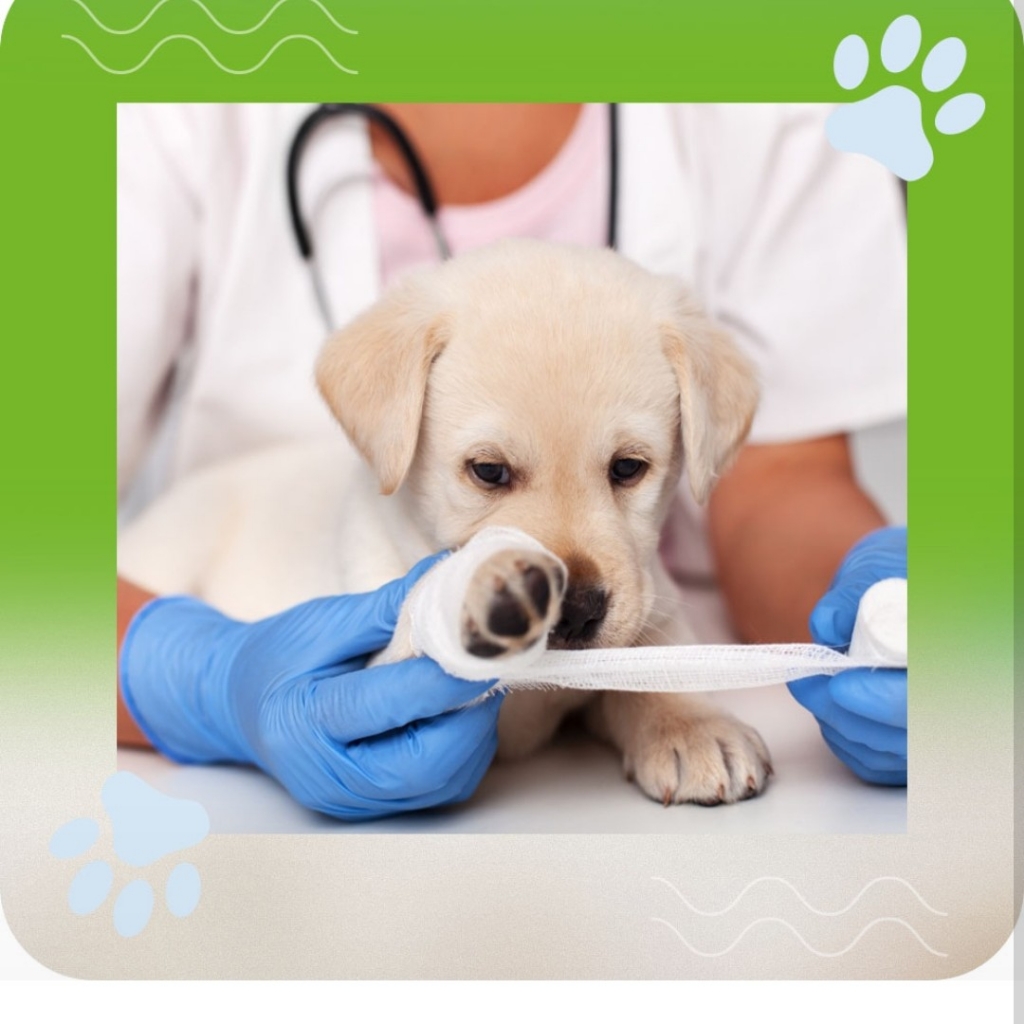 снятие швов