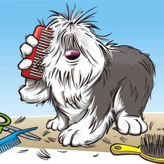 Комплекс для крупных пород собак