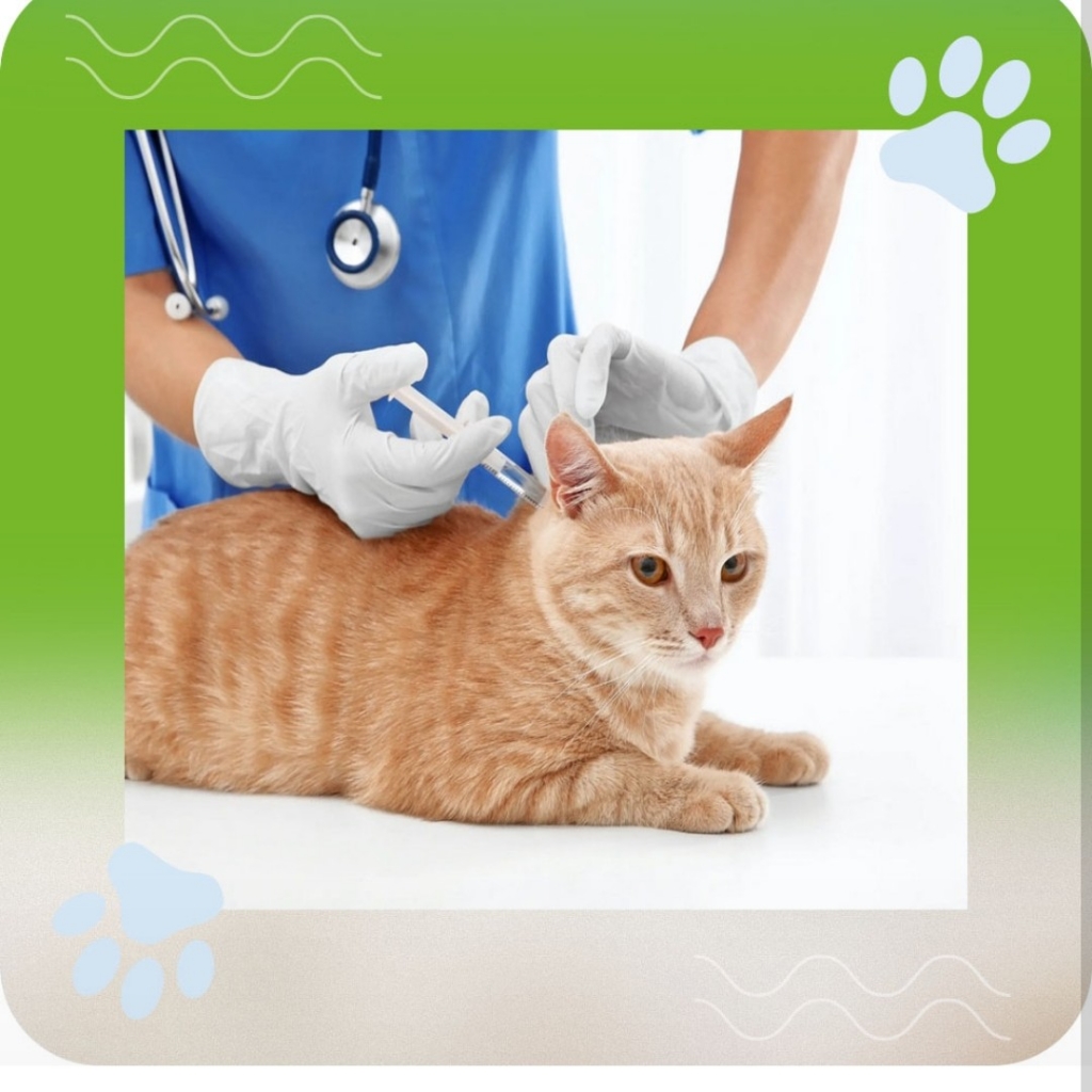 вакцинация собаки от 1600-2900