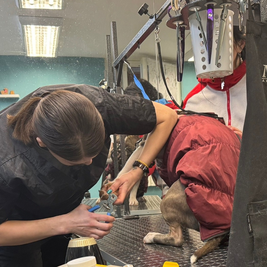 Стрижка когтей более 10кг