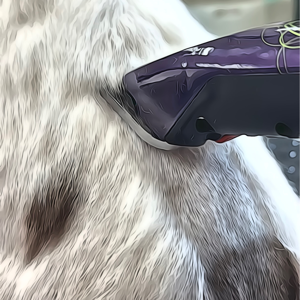 Бритье под машинку + гигиена от 1 до 5 кг