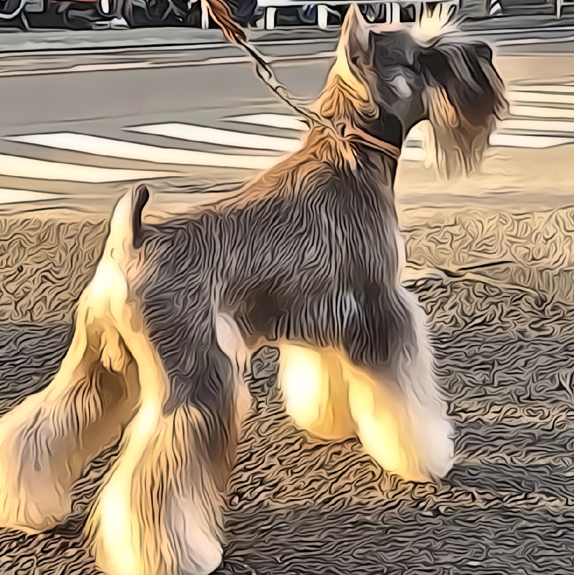 Комплекс для Цверг-шнауцера(корпус под машинку)