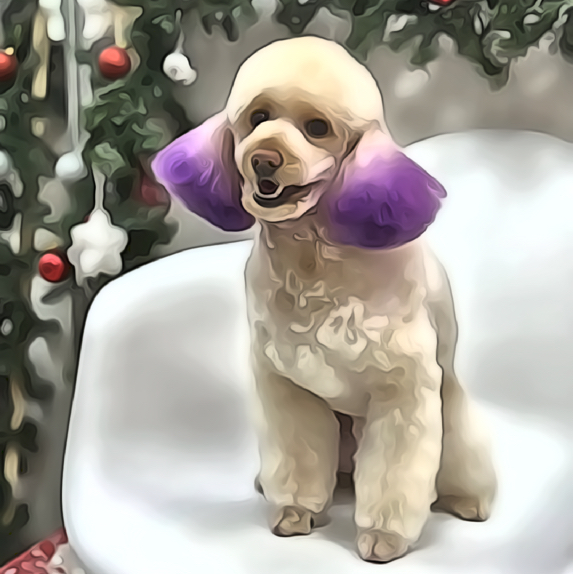 Комплекс СО СТРИЖКОЙ ПОД МАШИНКУ для Пуделя(среднего)