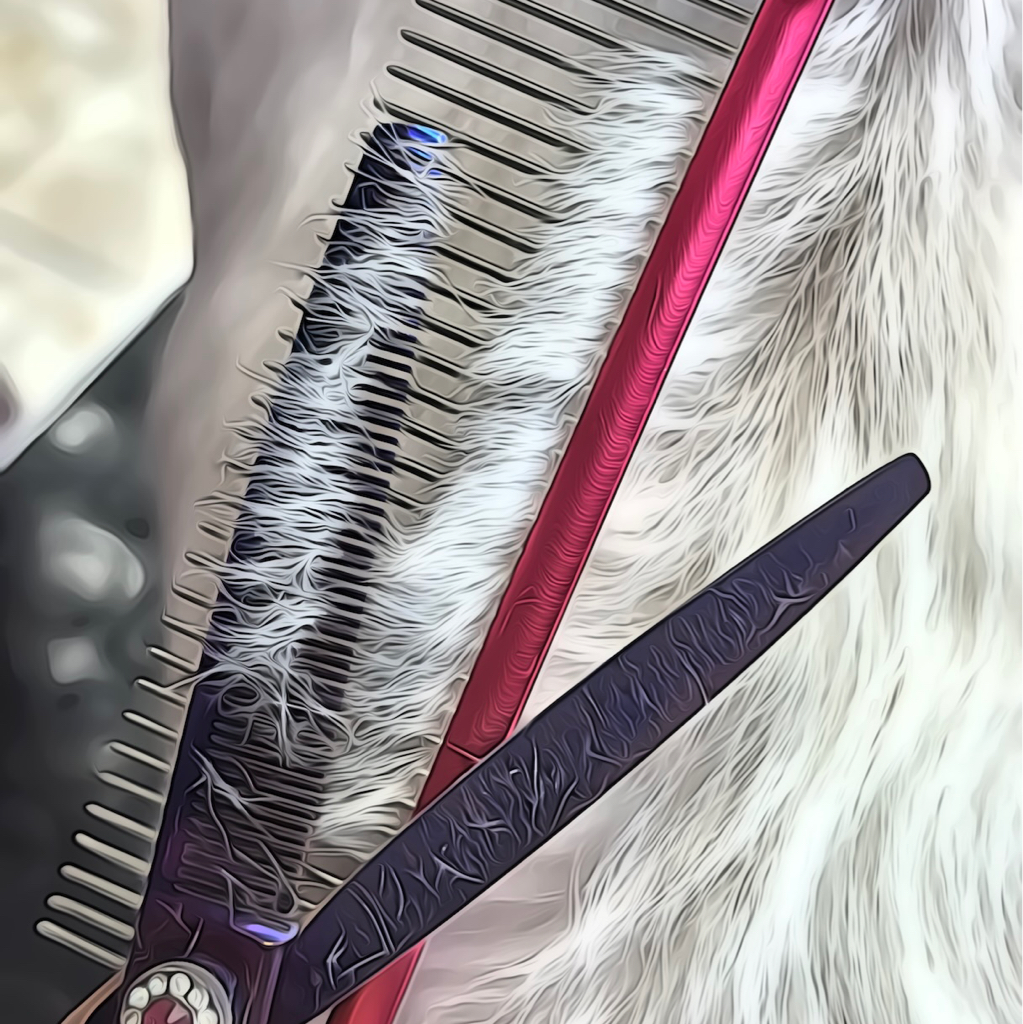 Гигиена + стрижка от 10 до 15 кг