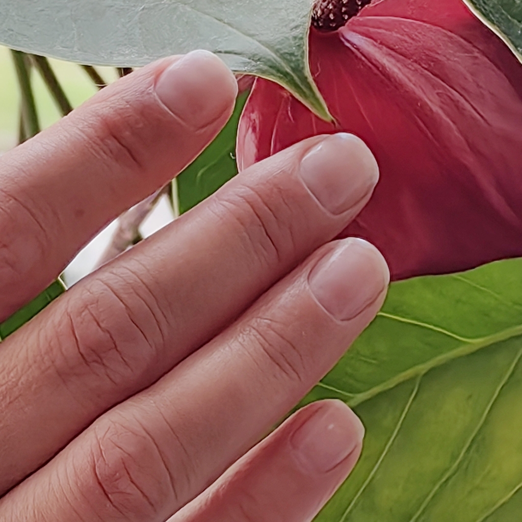 Аппаратный маникюр