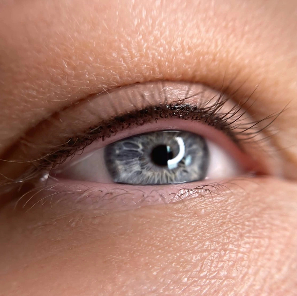 Межресничка обновление цвета до 1,5 лет