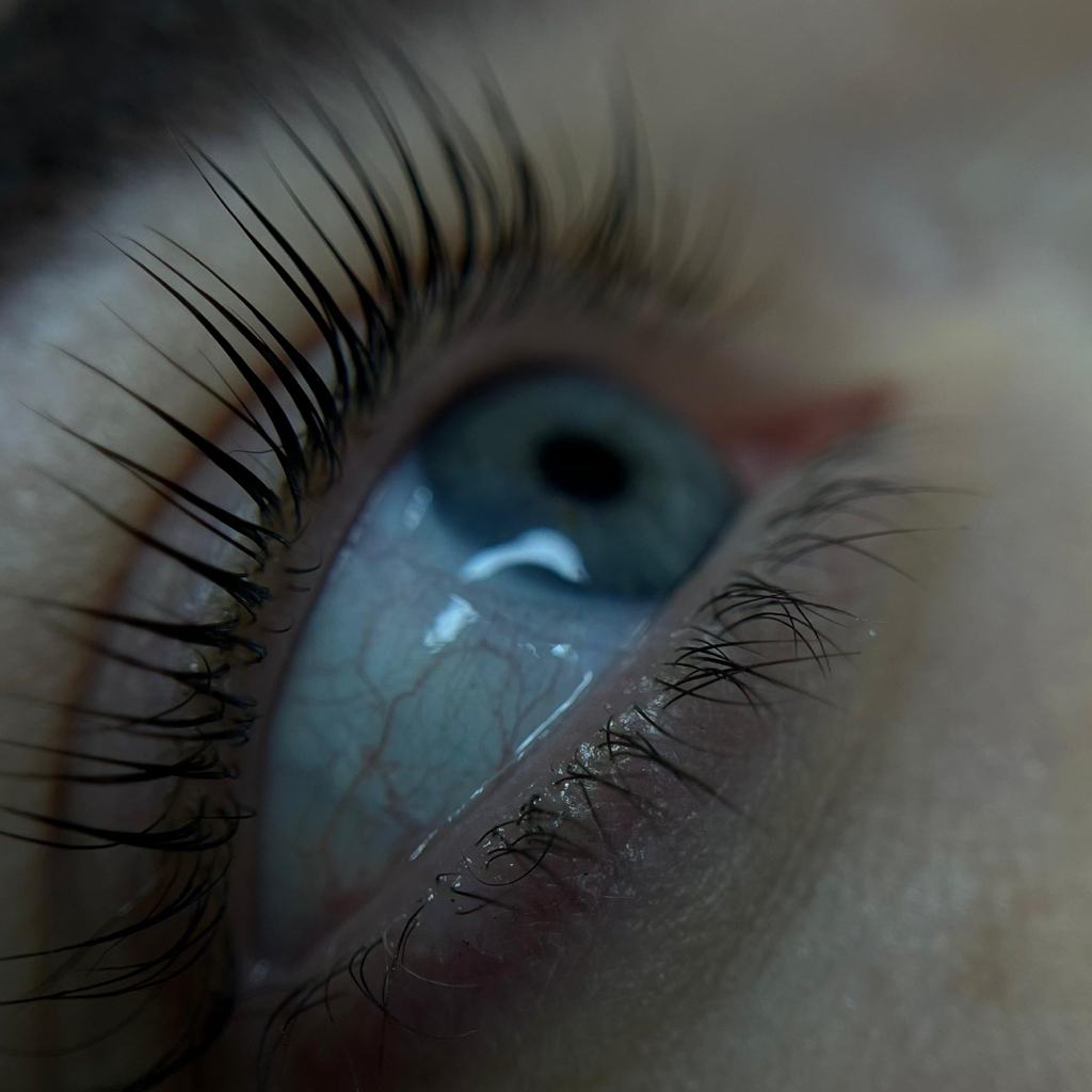 Ламинация ресниц ( окрашивание , боток)