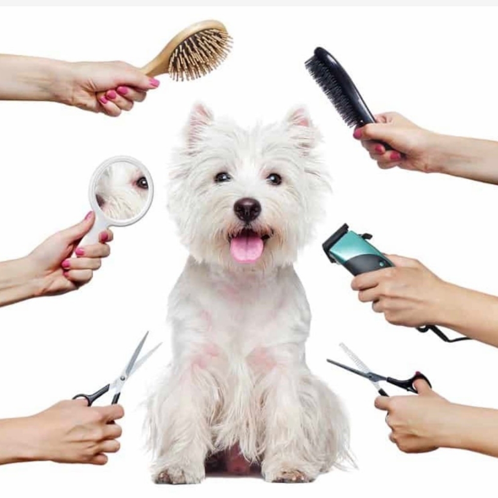 Помощь ассистента