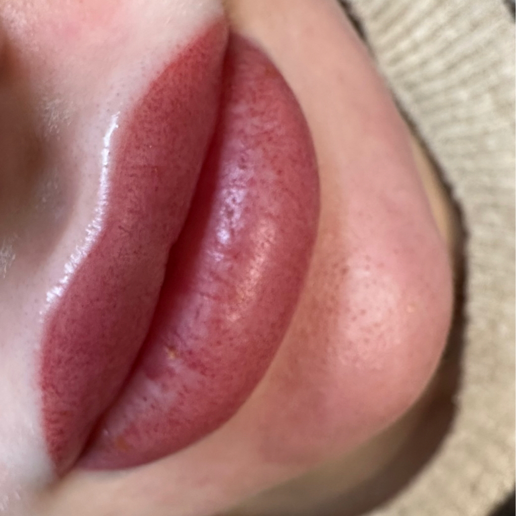 Рефреш перманентного макияжа губ (моей работы) спустя 10 и более месяцев