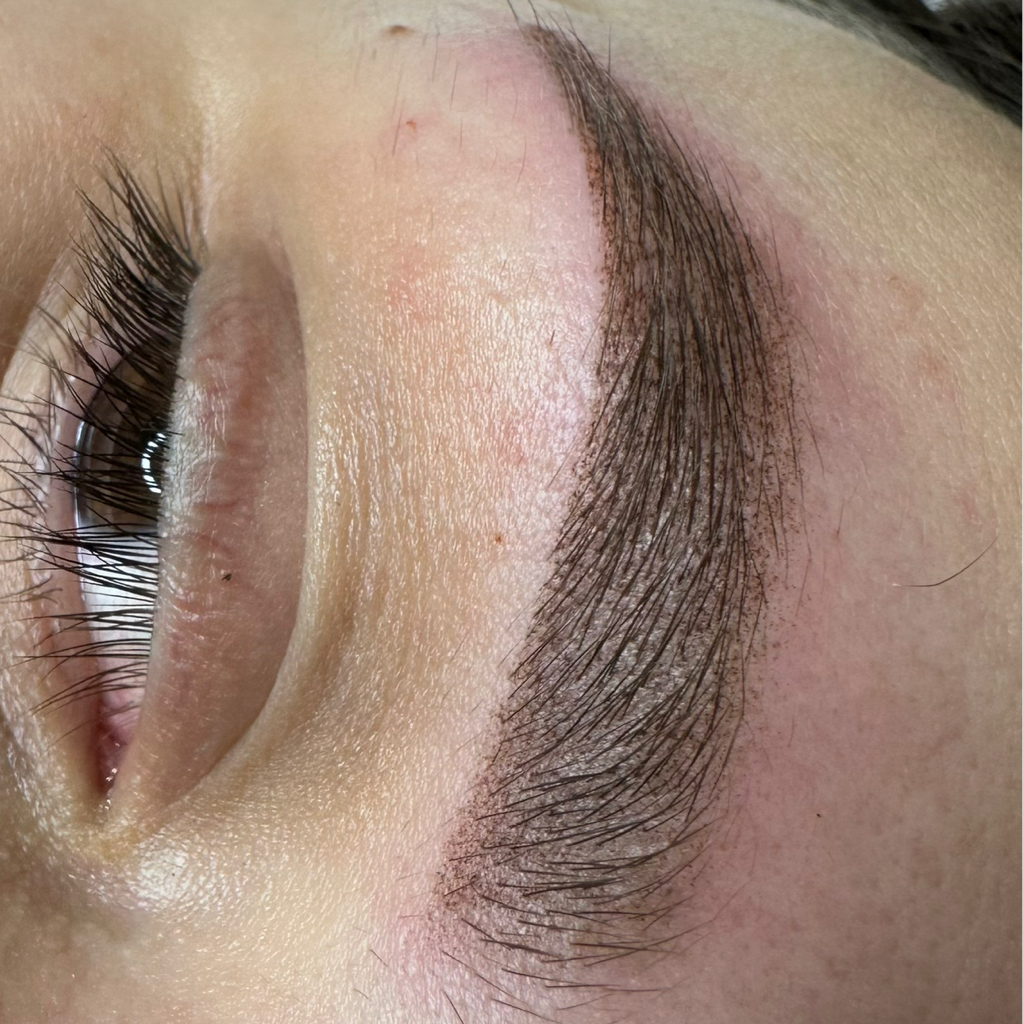 Рефреш перманентного макияжа бровей (моей работы) спустя 10 и более месяцев