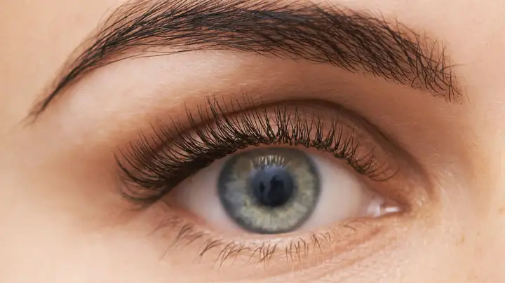 Окрашивание+оформление  бровей +окрашивание ресниц