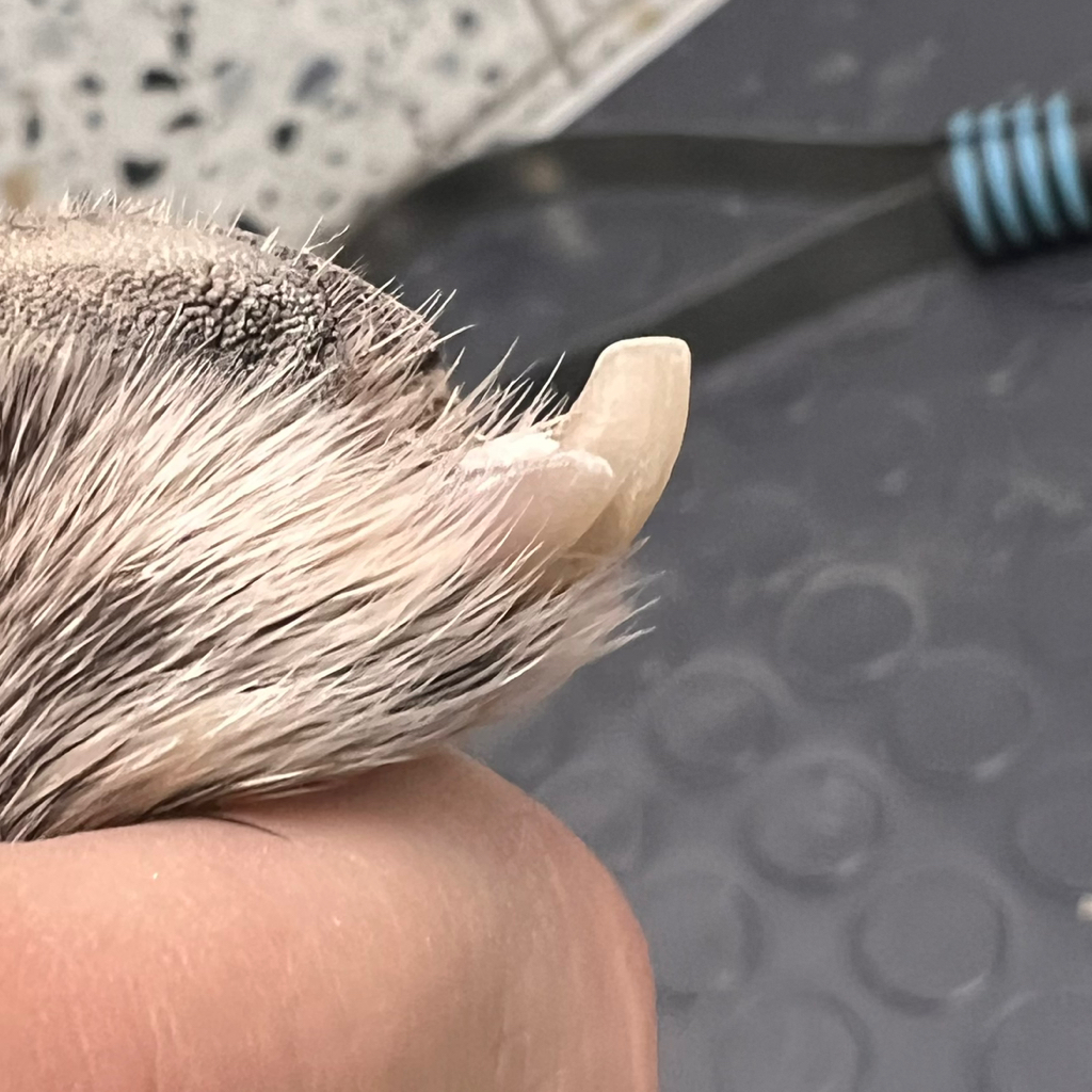 Комплекс когти+подушечки лап для мелких пород собак