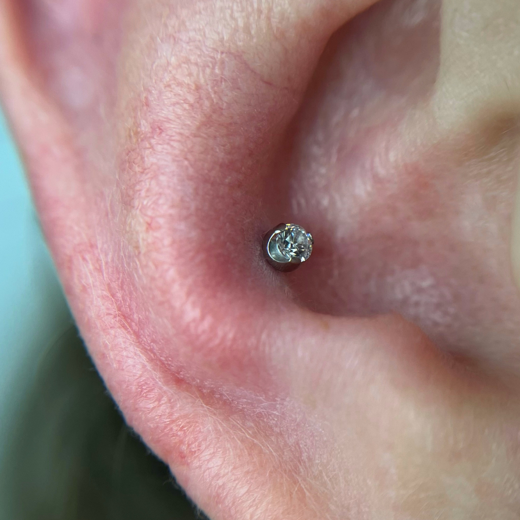 Прокол конч