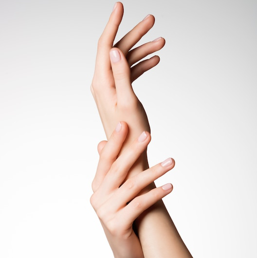 Кисти рук с пальцами