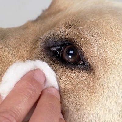 Гигиена глаз