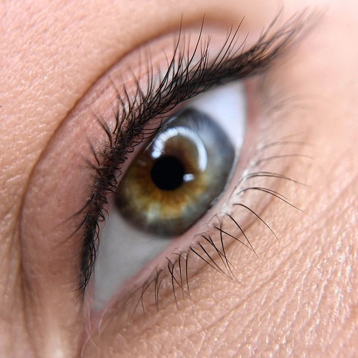 Межрисничка|Wimpernlinie