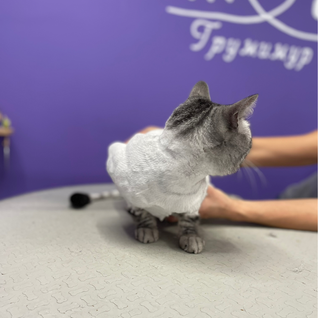 Стрижка под льва