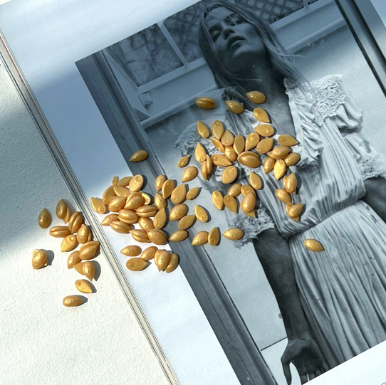 ЛИЦО - 1 зона