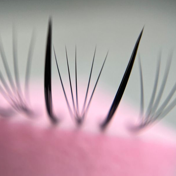 Доплата изгиб L или M