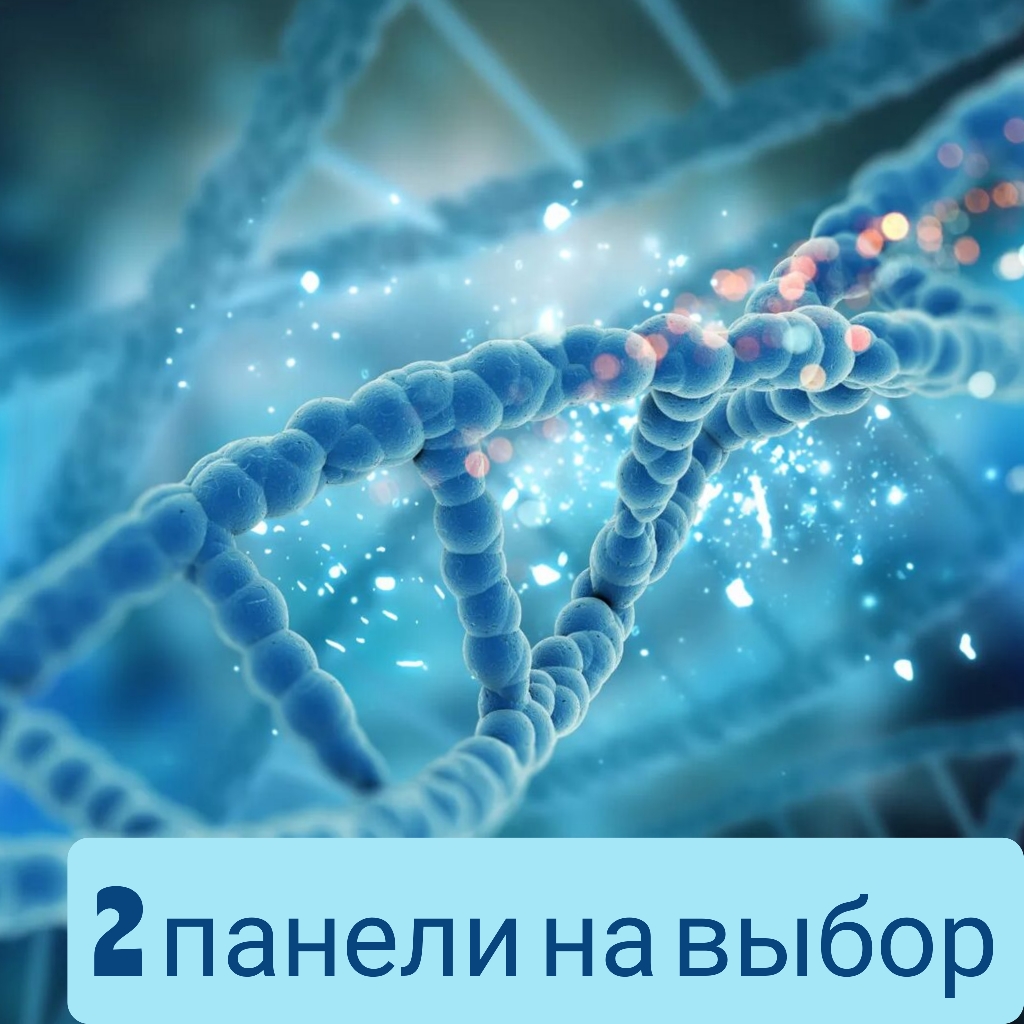 Расшифровка двух на выбор панелей генетического паспорта