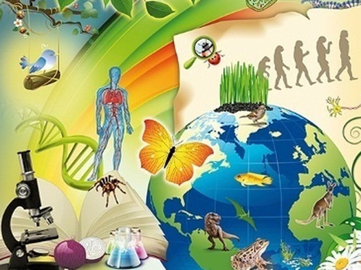 Биология (9)