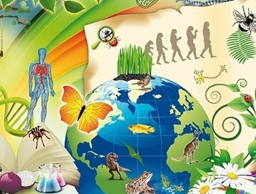 Биология (8)