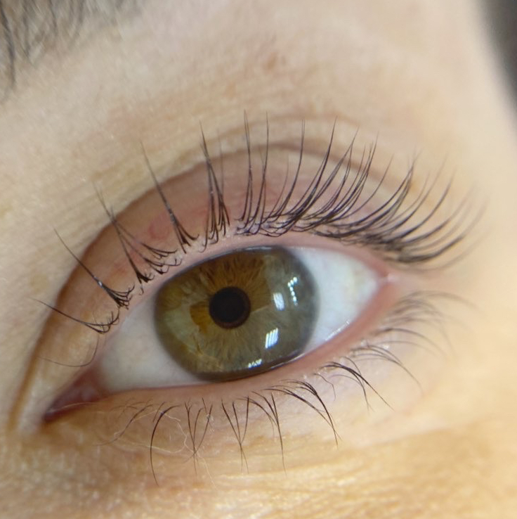 Ламинирование + ботокс ресниц (с покраской)