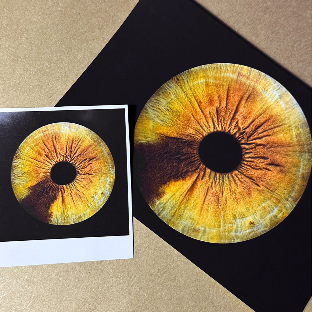 Одиночное фото радужки А6/полароид