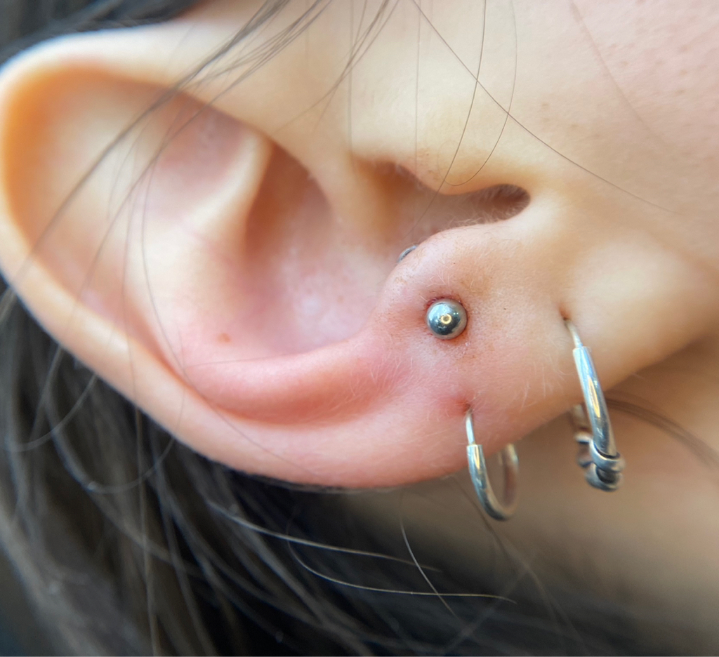 Прокол « Anti-Tragus»