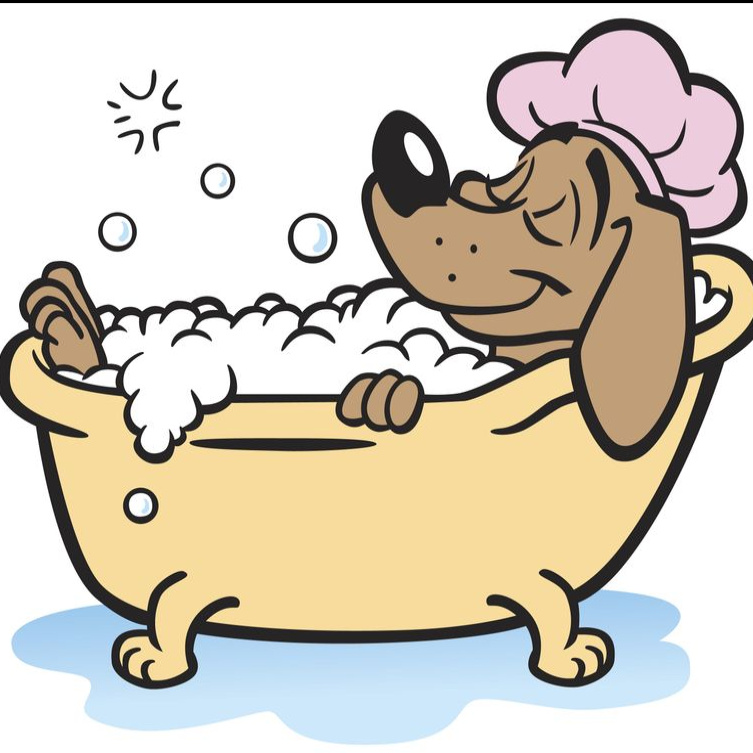 Йоркширский терьер SPA: гидромассаж + озонотерапия+маска