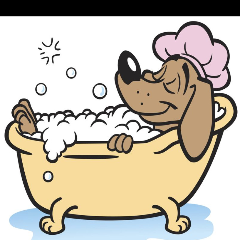 Бивер Йорк SPA: гидромассаж + озонотерапия+маска